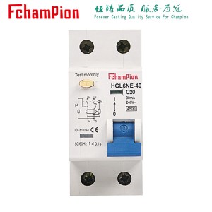 HGL6NE-40 Residual Current Operated Circuit-Breakers With Integral Overcurrent Protection